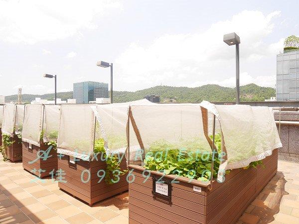 大直豐匯快樂農場公設