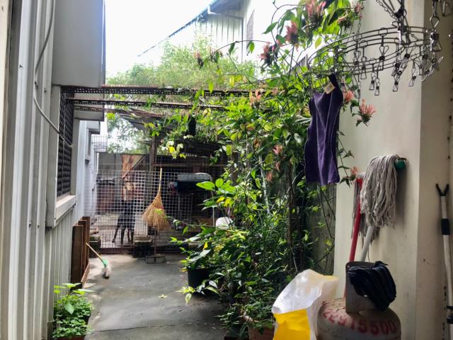 台中大雅透天-4