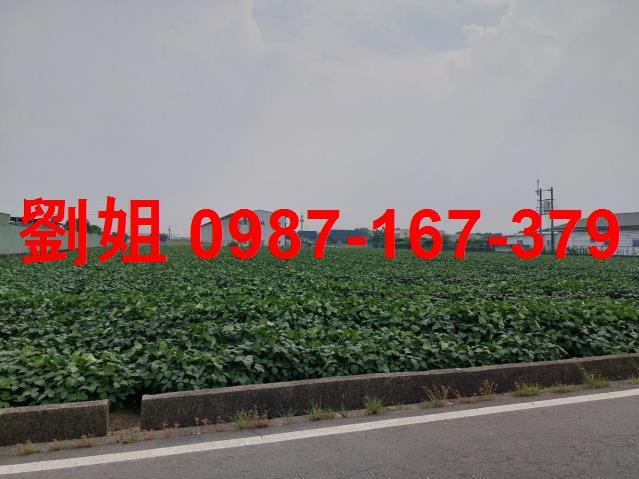 高雄大寮廠房-1