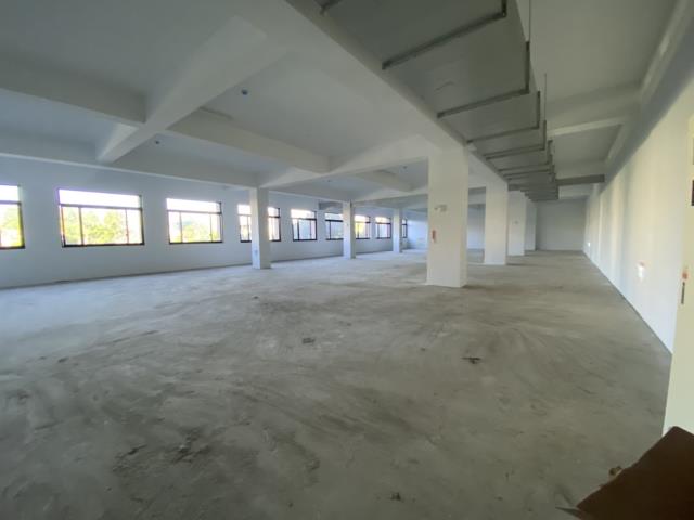 桃園中壢廠房-1