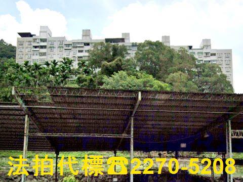 新北三峽法拍華廈-7