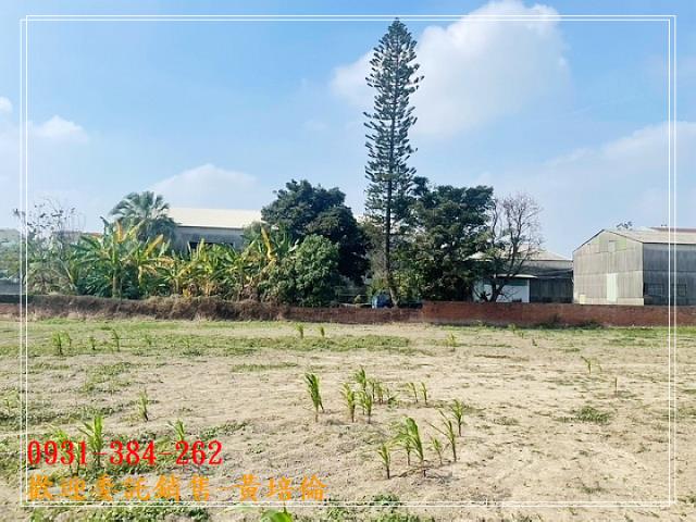 台南培倫房屋土地王