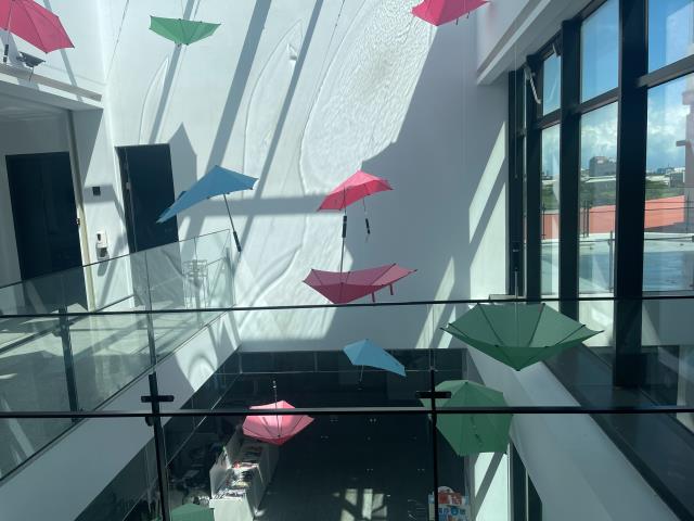 桃園大園廠房-1