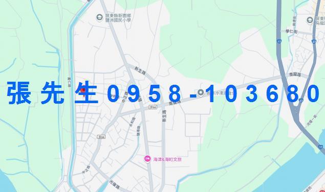 屏東新園法拍透天-4