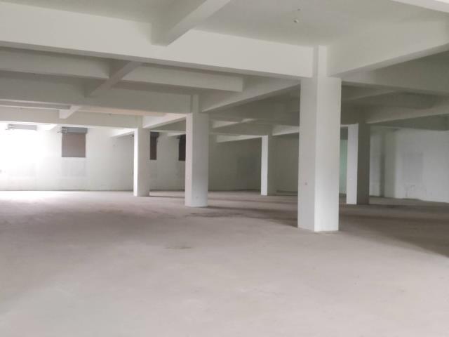 桃園八德廠房-1