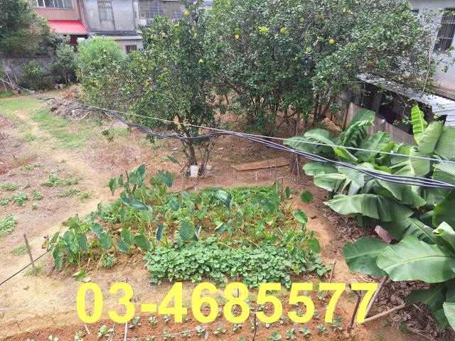 桃園龍潭農舍-6