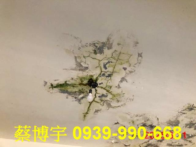 二林光復路法拍屋透天