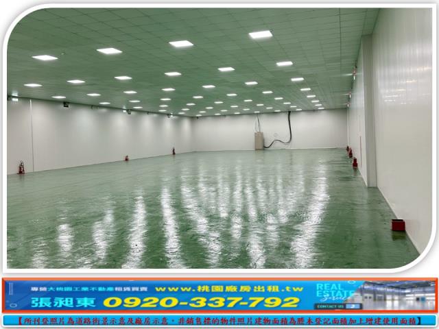 桃園中壢廠房-3