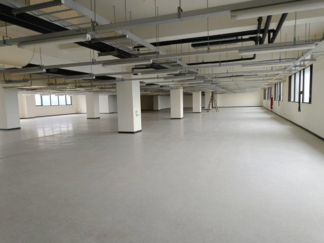 新竹湖口廠房-1