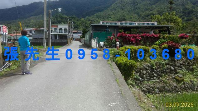 花蓮玉里法拍透天-7