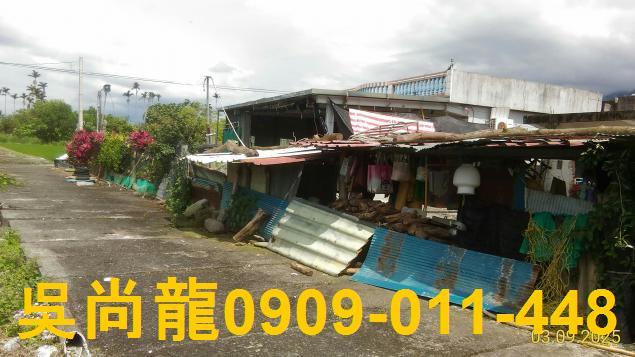 花蓮玉里法拍透天-2