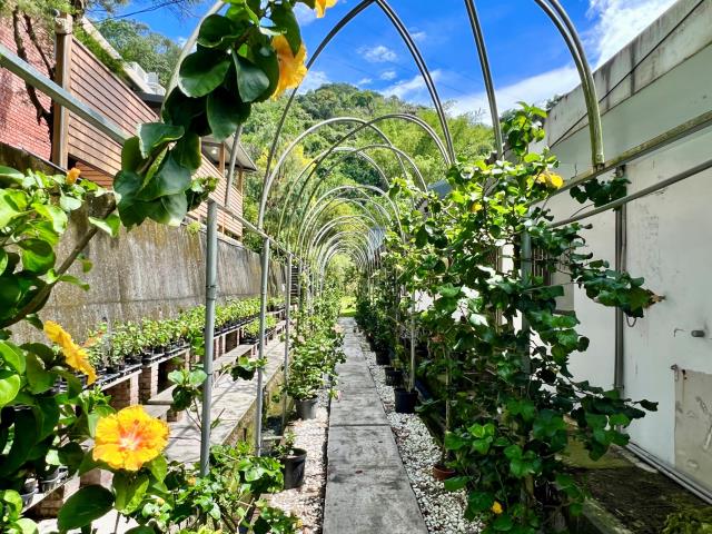 南投中寮農舍-13