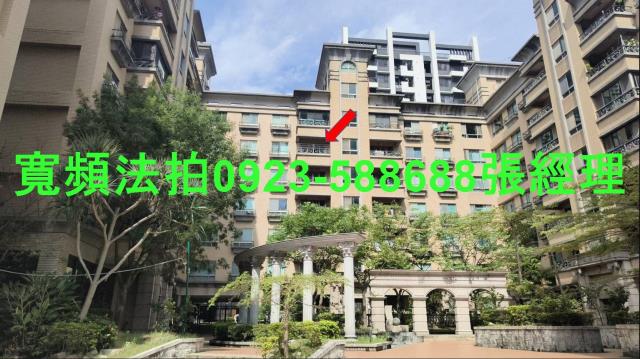 桃園區法拍華廈-1