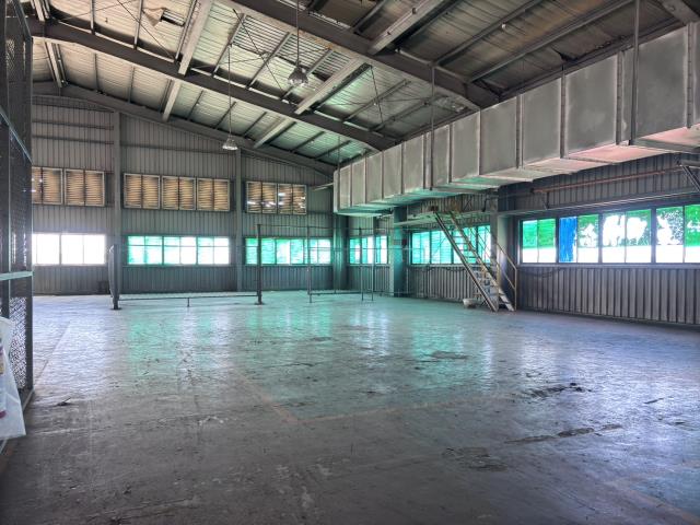 桃園大園廠房-3