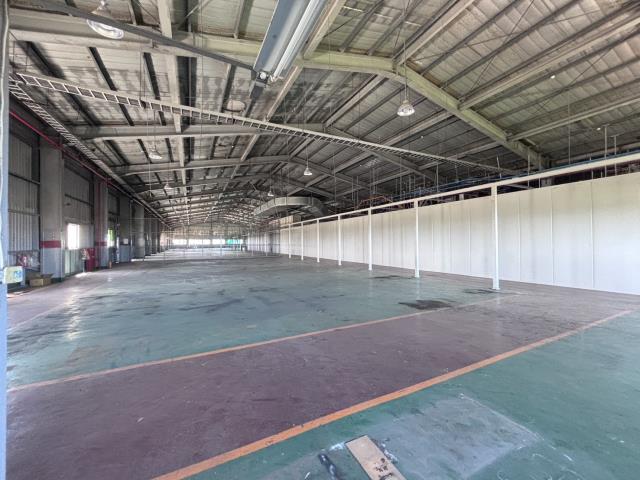 桃園大園廠房-4