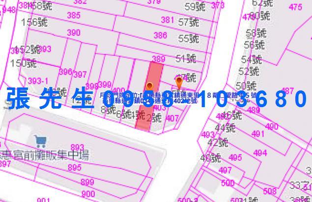 苗栗通霄法拍透天-2