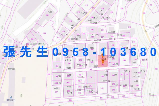 台東達仁透天法拍-3