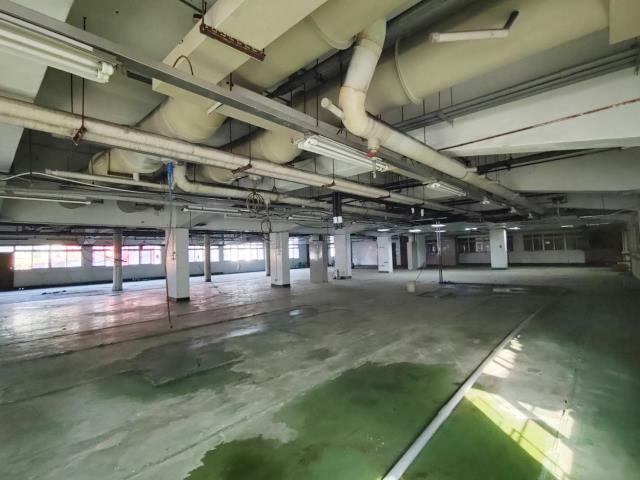 樹林廠房-2