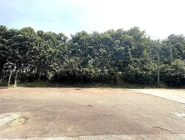 桃園新屋廠房-5