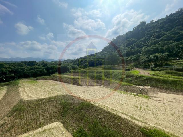 台南楠西農舍-11