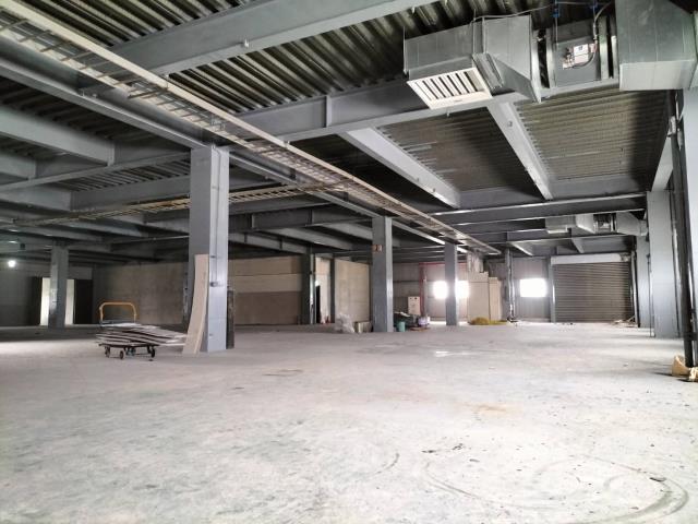 新北樹林廠房-2