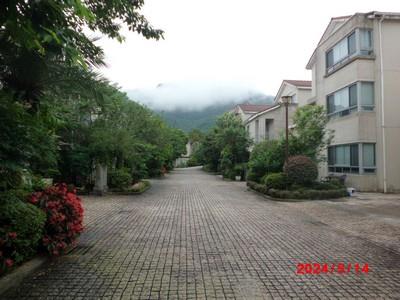 新北新店法拍透天-5