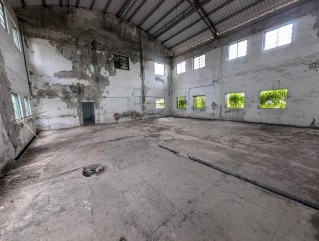 麟洛廠房-3