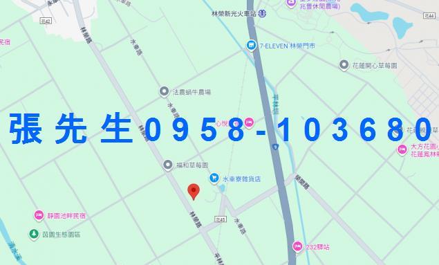 鳳林法拍透天-5