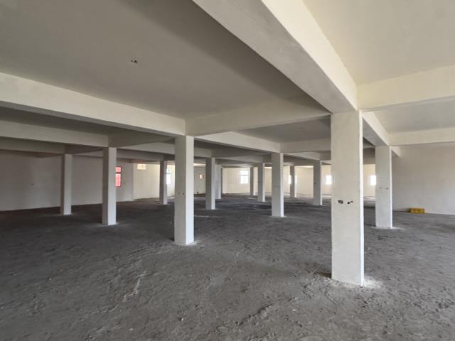 新竹湖口廠房-2