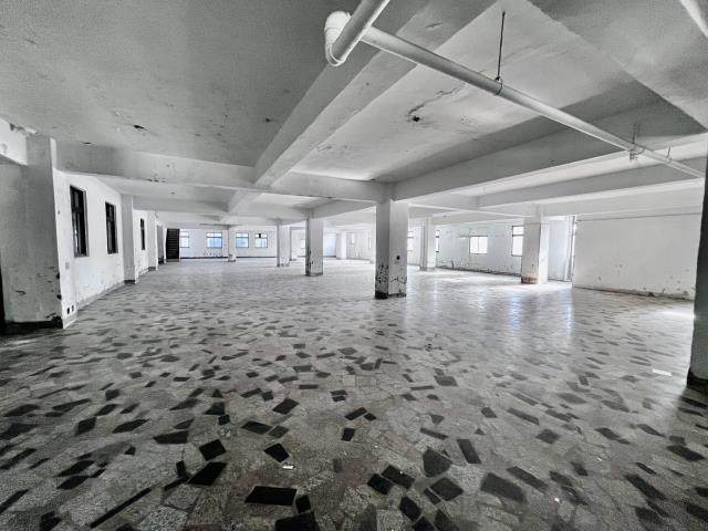 桃園桃園區廠房-3