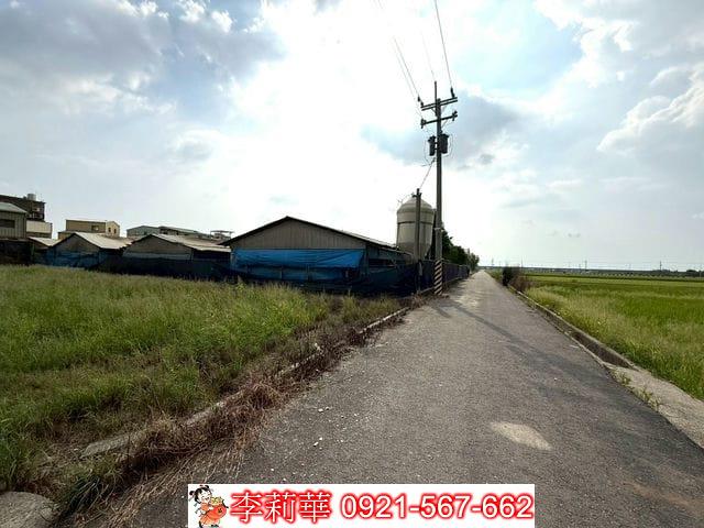 台南後壁畜牧場-4