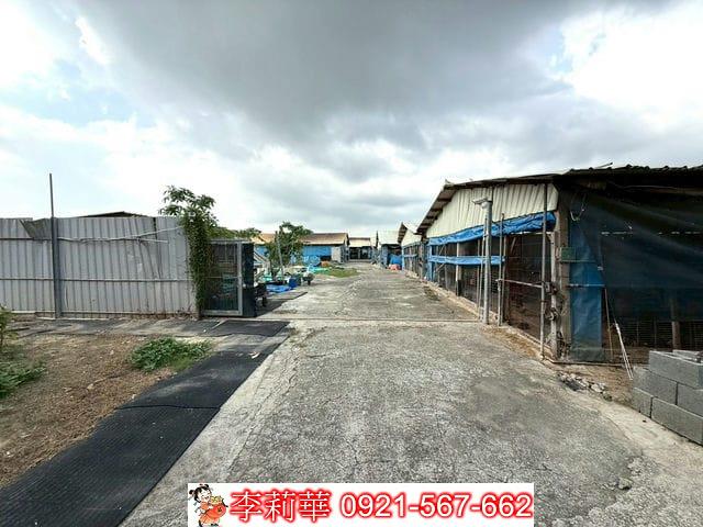 台南後壁畜牧場-5