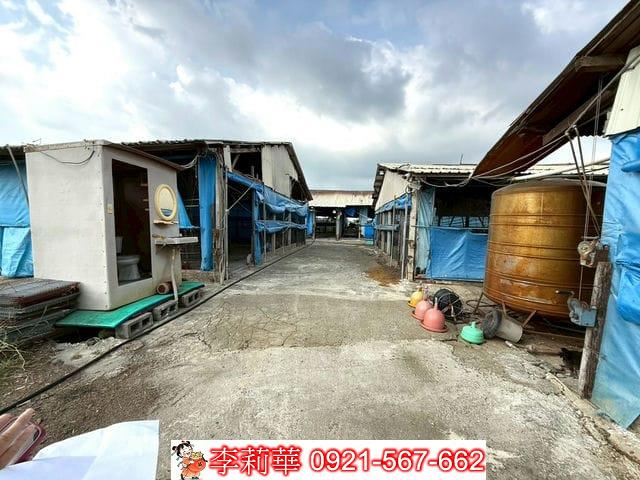 台南後壁畜牧場-7