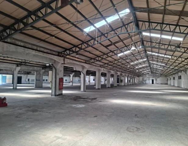 桃園楊梅廠房-4