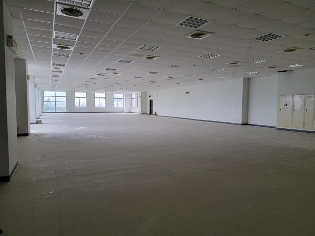 桃園龍潭廠房-1