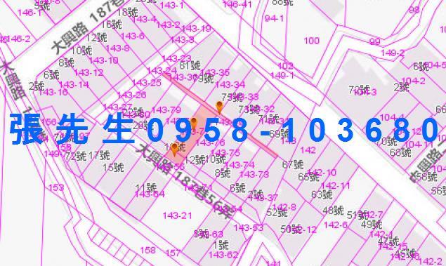 宜蘭法拍透天-3