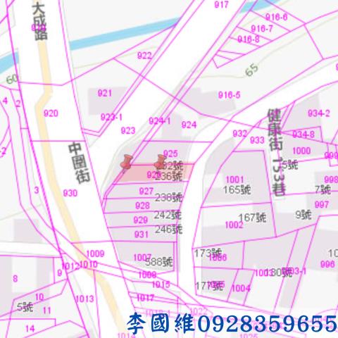 台南玉井法拍透天-3