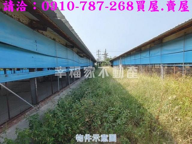 台南將軍雞舍-14