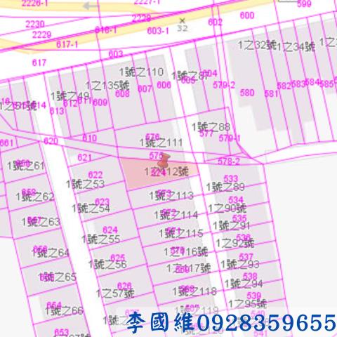 民雄法拍透天-3