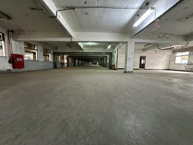 新北五股廠房-4