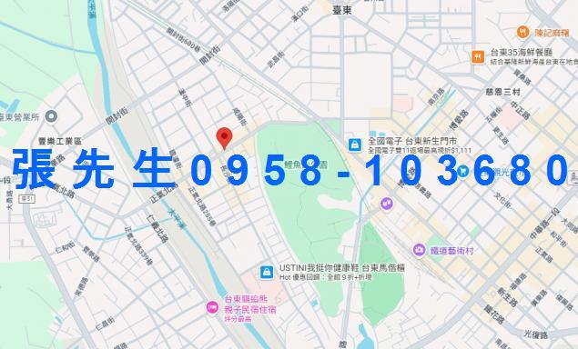 台東台東市法拍透天-2