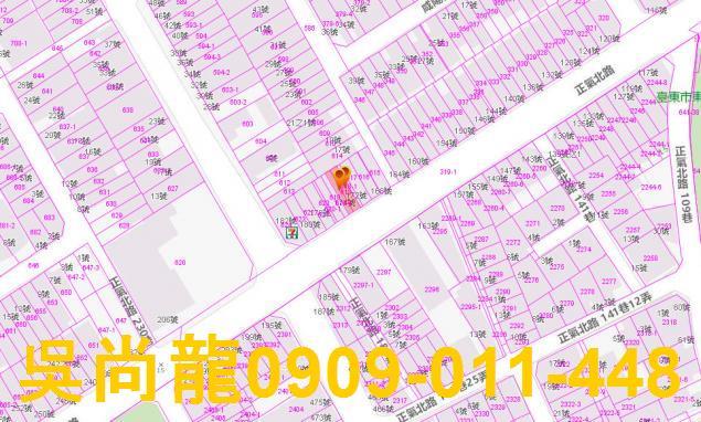 台東法拍透天-3