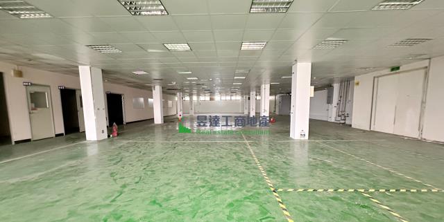 桃園中壢廠房-5