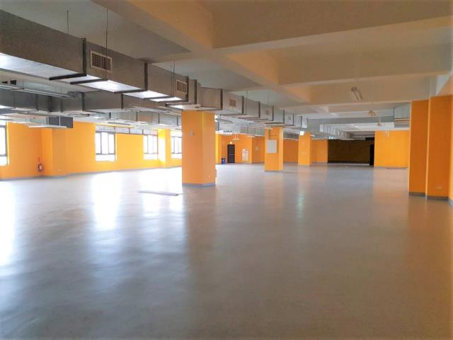 桃園中壢廠房-2