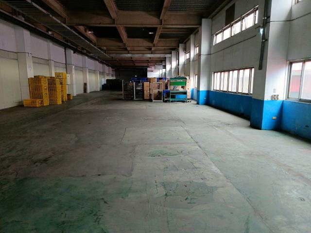 新北廠房-1