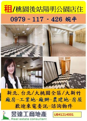 桃園桃園區華廈-1