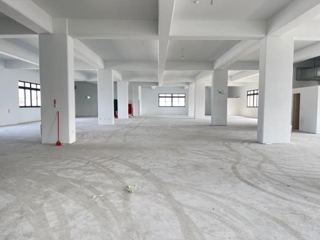 桃園中壢廠房-2