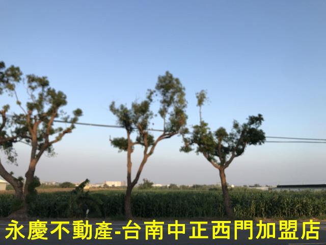 台南佳里透天-11