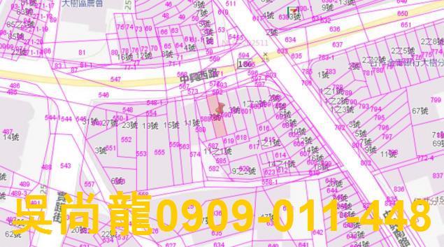 大樹透天法拍-3