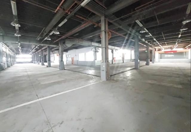 桃園蘆竹廠房-2